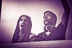 Sultan & Ned Shepard