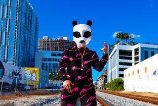 Pink Panda