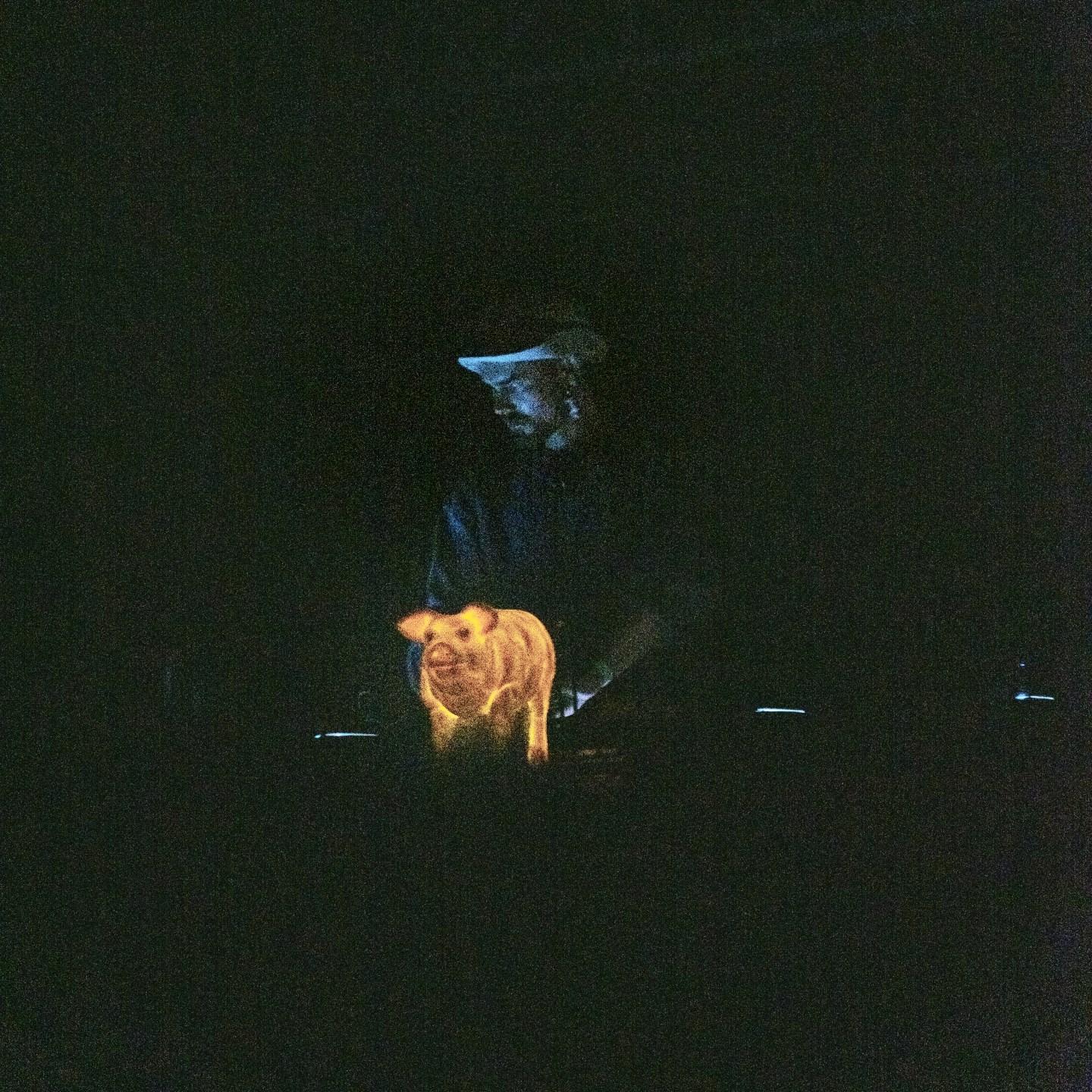 Eddi Sander