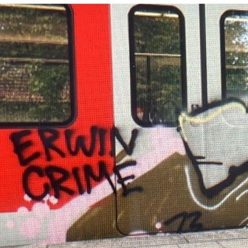 Erwin Crime