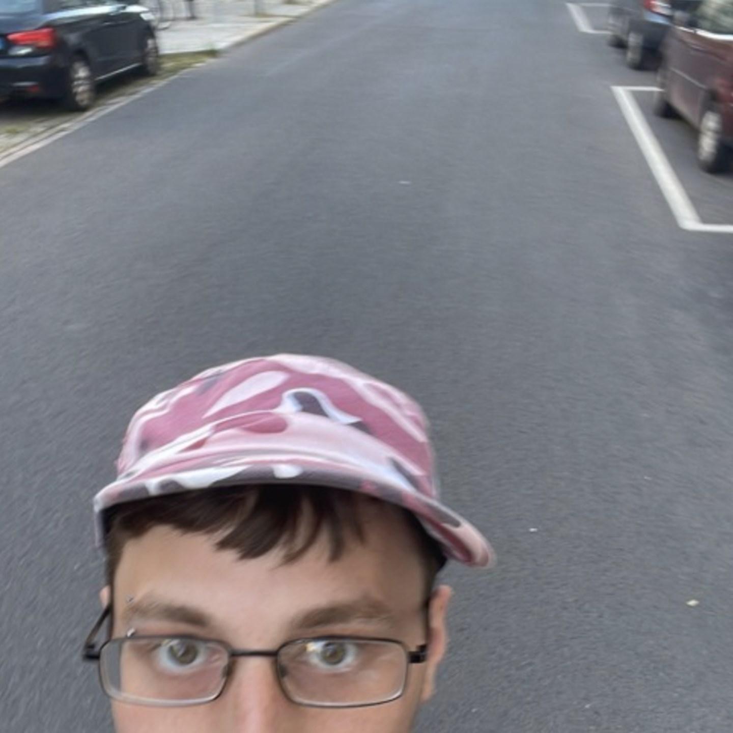 Usertaube