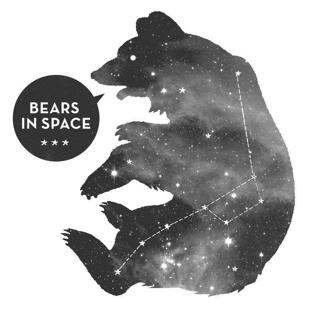 Bears In Space