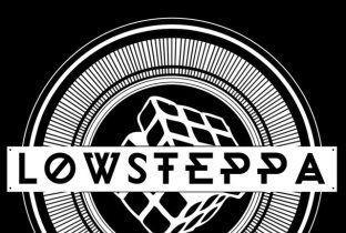 Lowsteppa