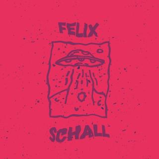 Felix Schall