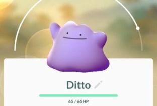 Dj Ditto.