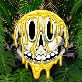 Shadow Acid