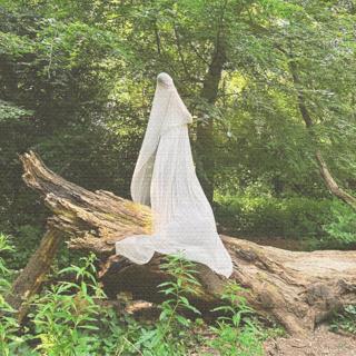 Veil Error