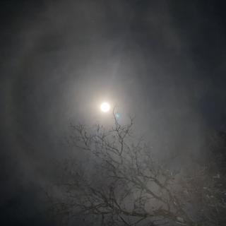 Mooncloud