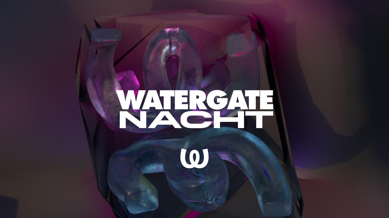 Watergate Nacht: Adana Twins, Biesmans, Gorje Hewek, Eveava, Arcydaro