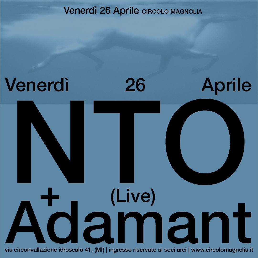 Nto + Adamant