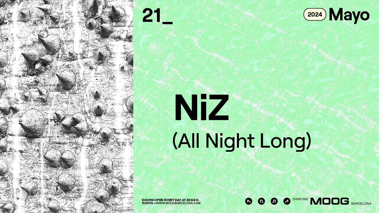 Niz (All Night Long)