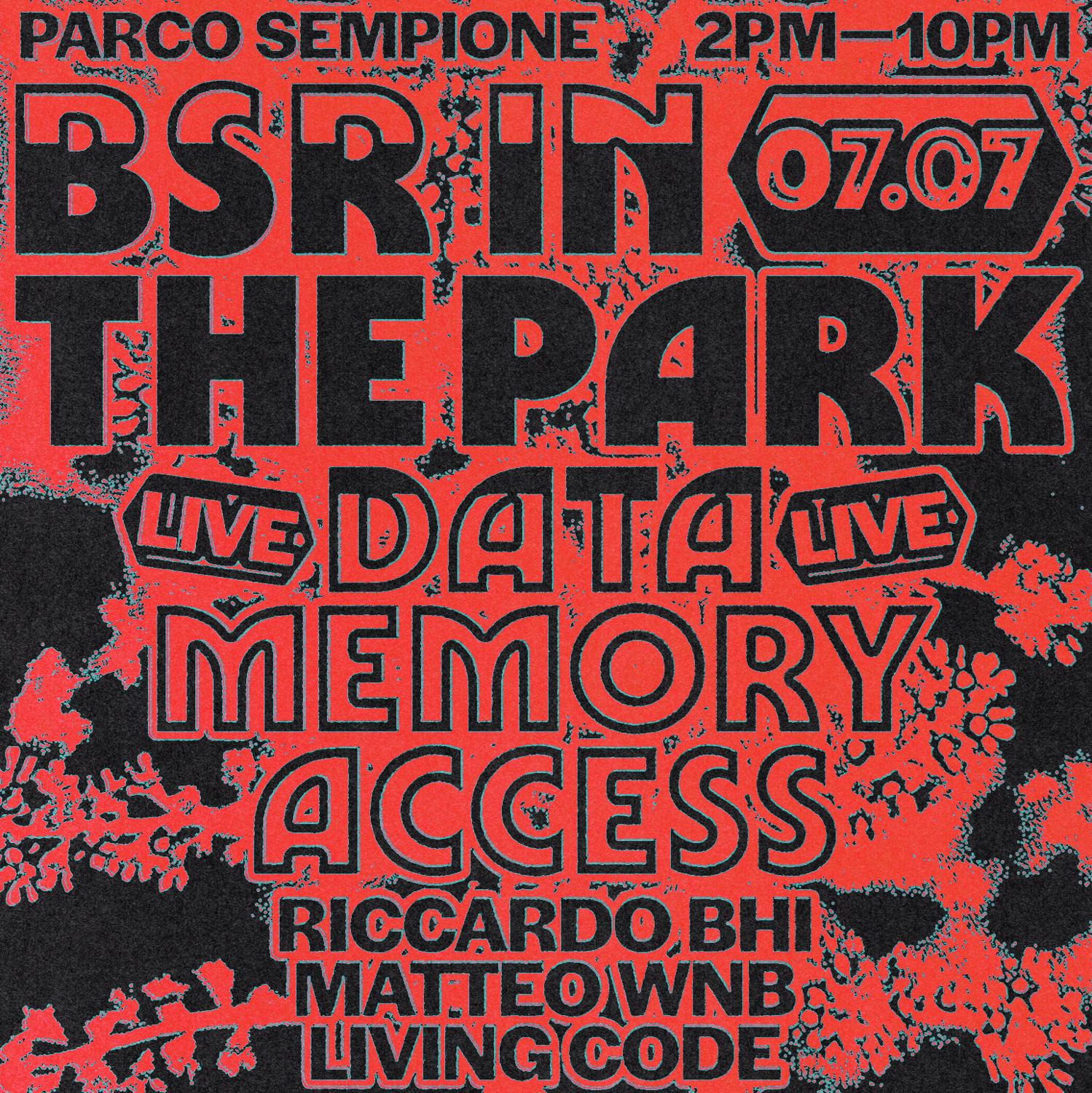 Bsr In The Park