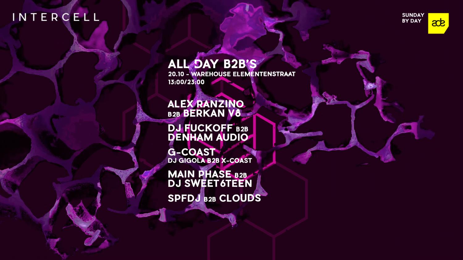 Intercell All Day B2B'S - Ade