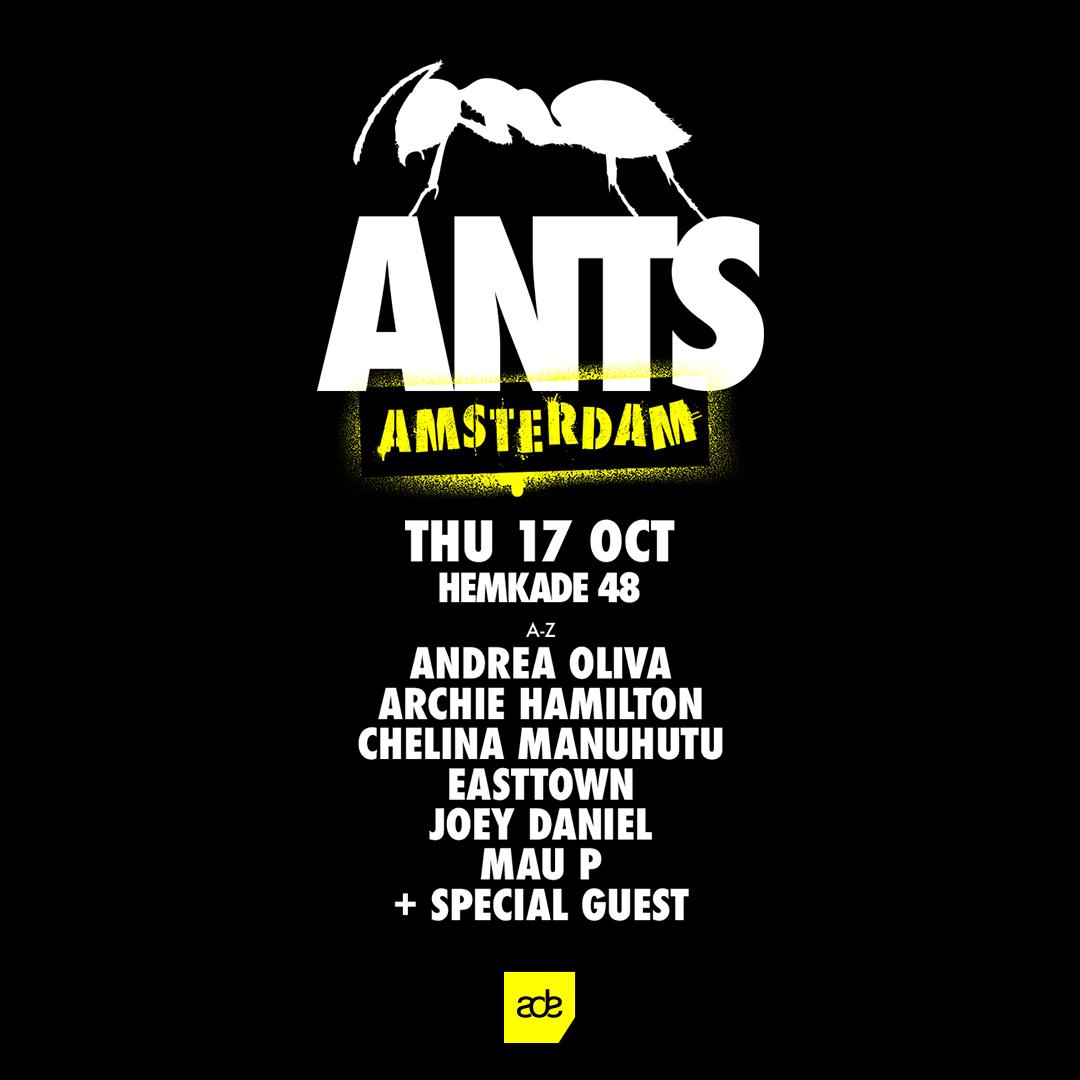 Ants Amsterdam