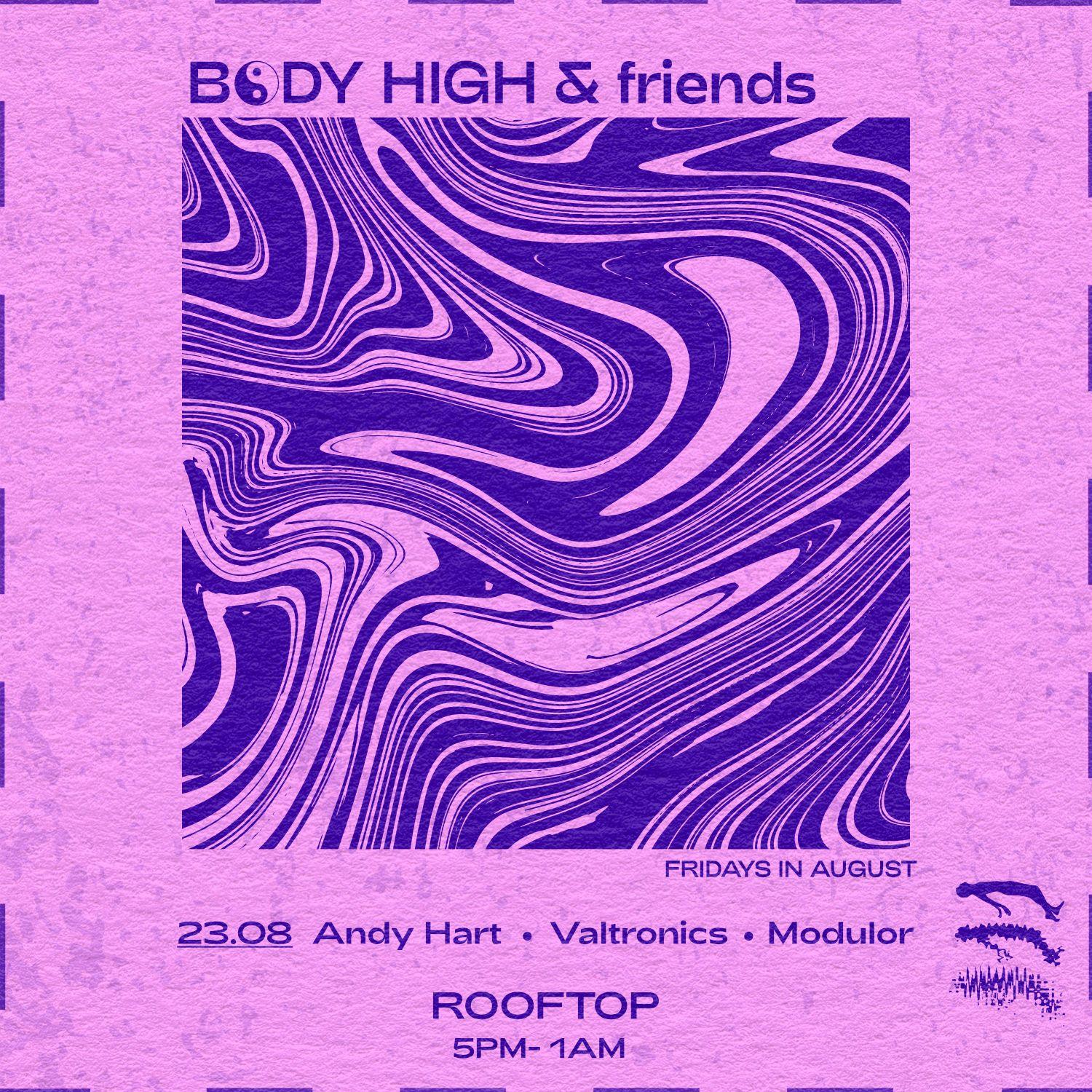 Body High & Friends - Andy Hart & Valtronics