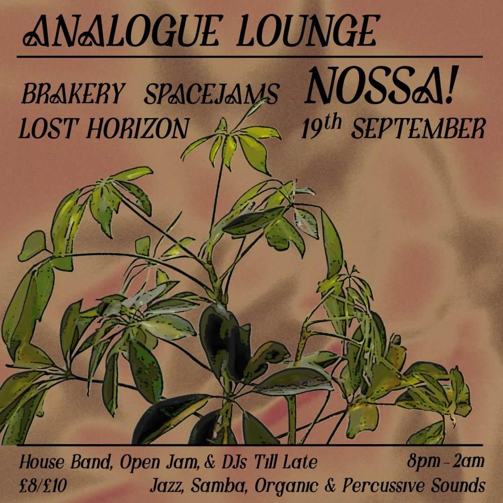 Analogue Lounge With Nossa