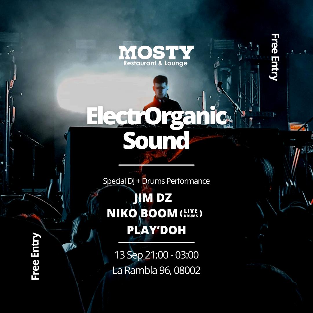 Electrorganic Sound With Jim Dz , Play'Doh, Niko Boom (Live)