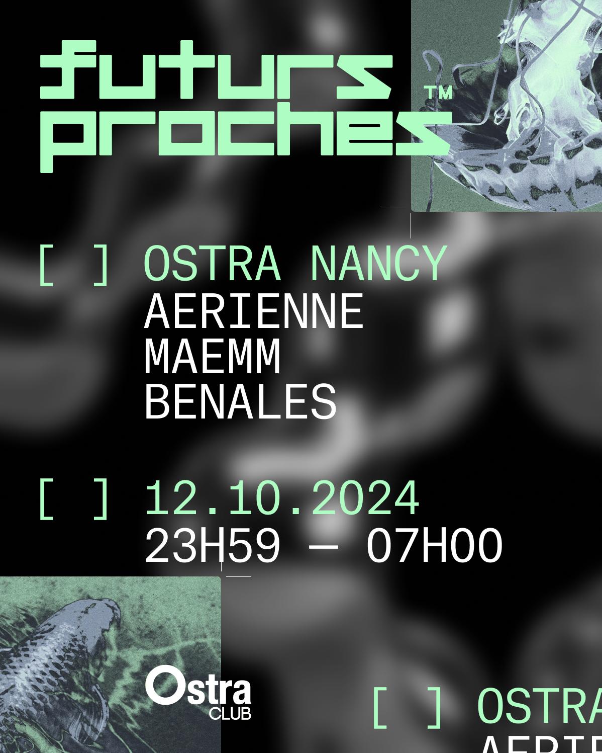 Futurs Proches Present Aerienne, Benales, Maemm