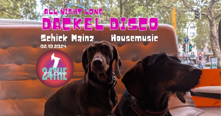 Dackel Disco: 24Theflow