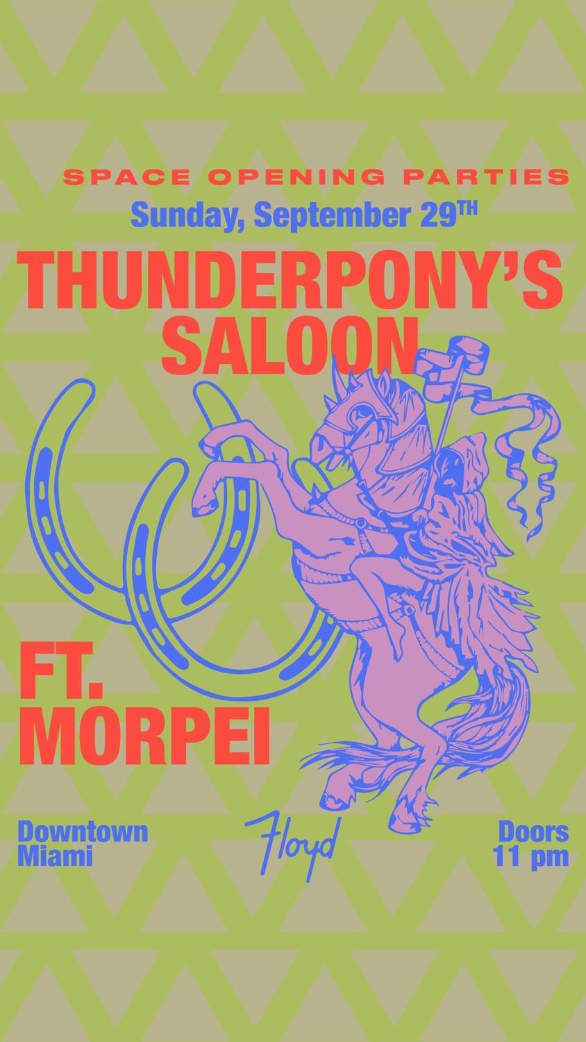 Space Opening Parties: Thunderpony'S Saloon