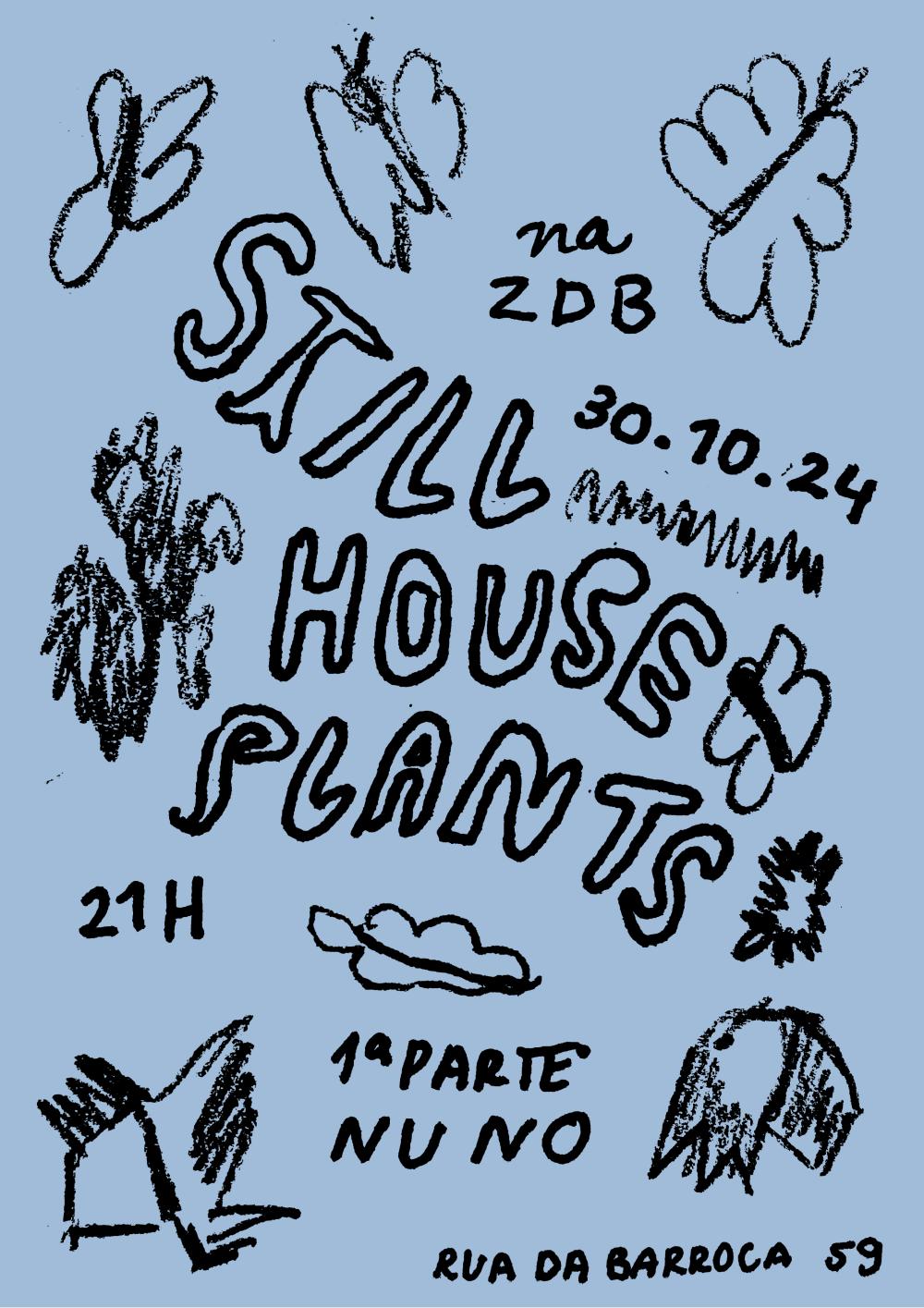 Still House Plants ⟡ Nu No