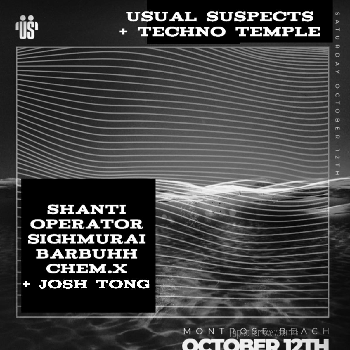 Usual Suspects + Techno Temple Present