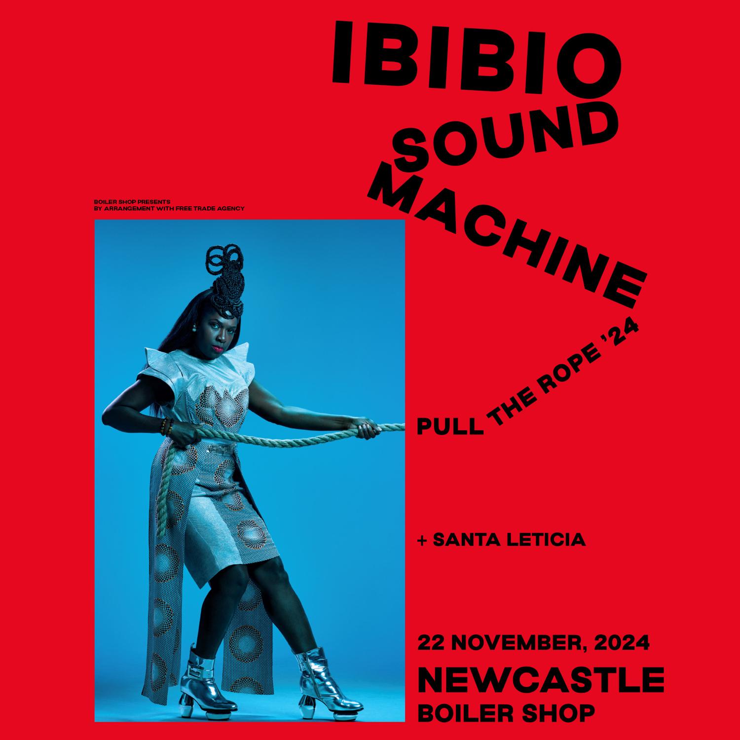 Ibibio Sound Machine