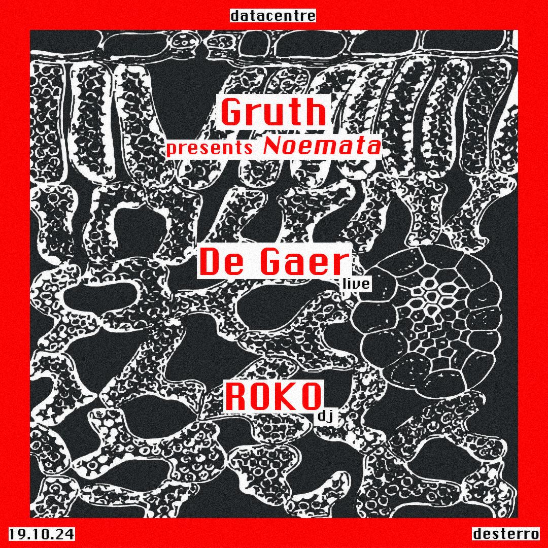 Datacentre: Gruth Presents Noemata + De Gaer [Live] + Roko