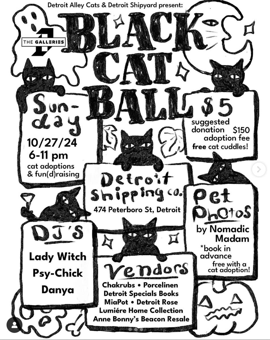 Black Cat Ball