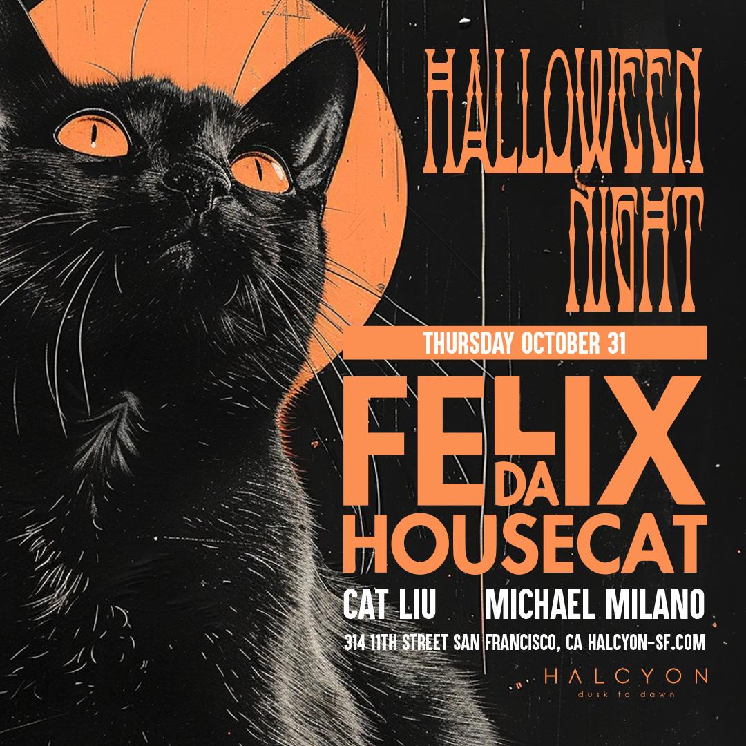 Felix Da Housecat