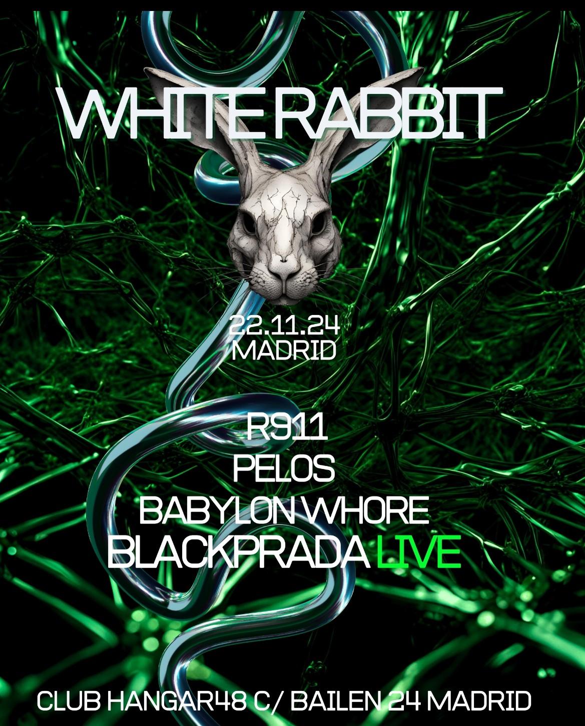 White Rabbit-R911, Pelos, Babylon Whore, Blackprada Live