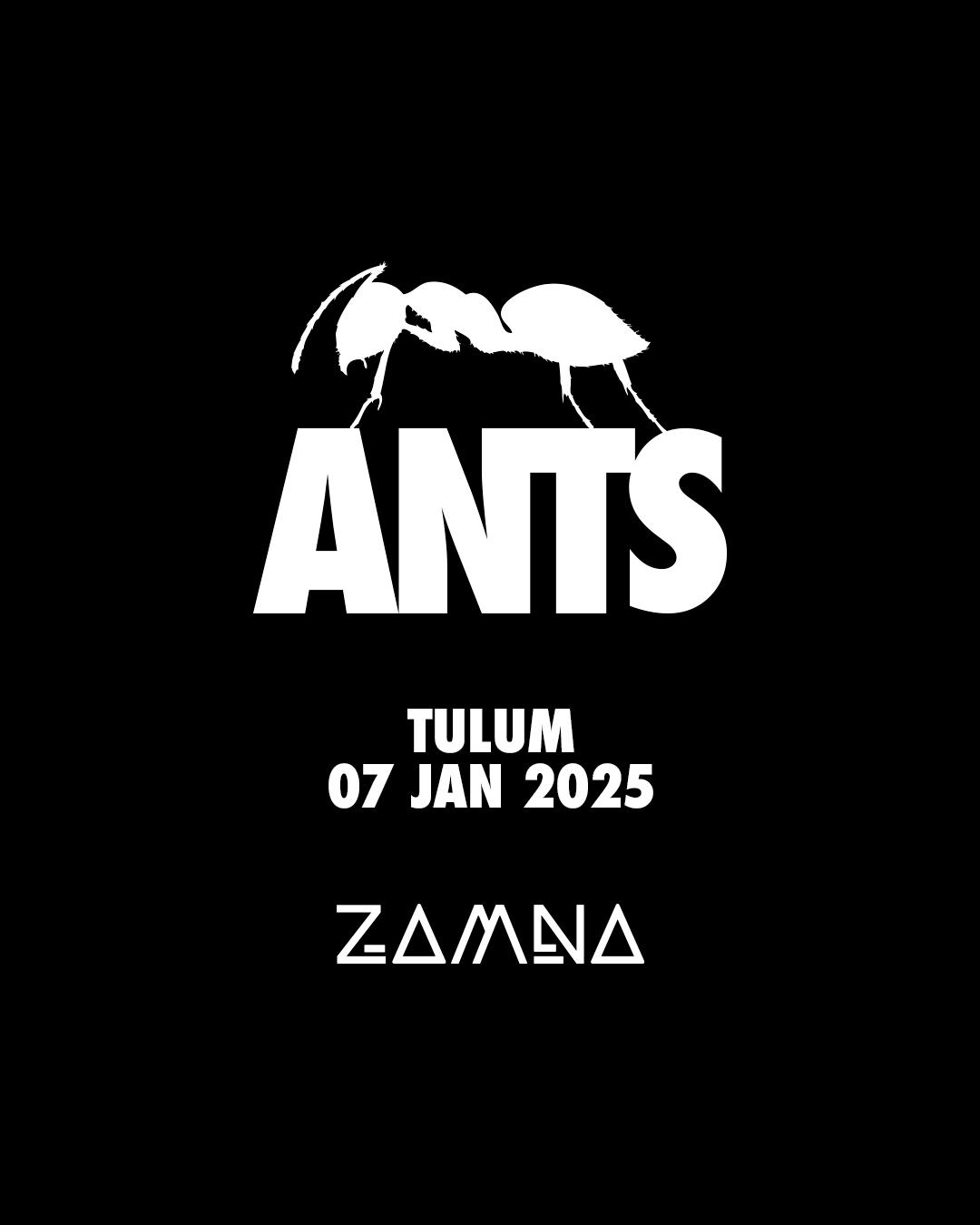 Ants Tulum 2025