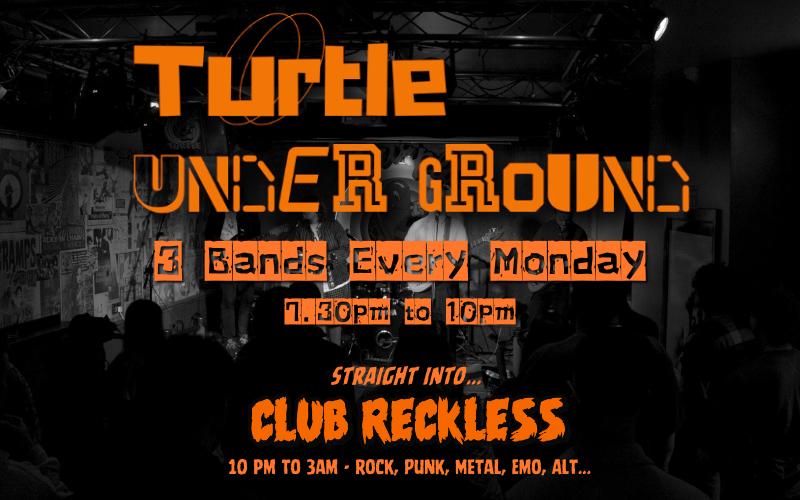 Turtle Underground