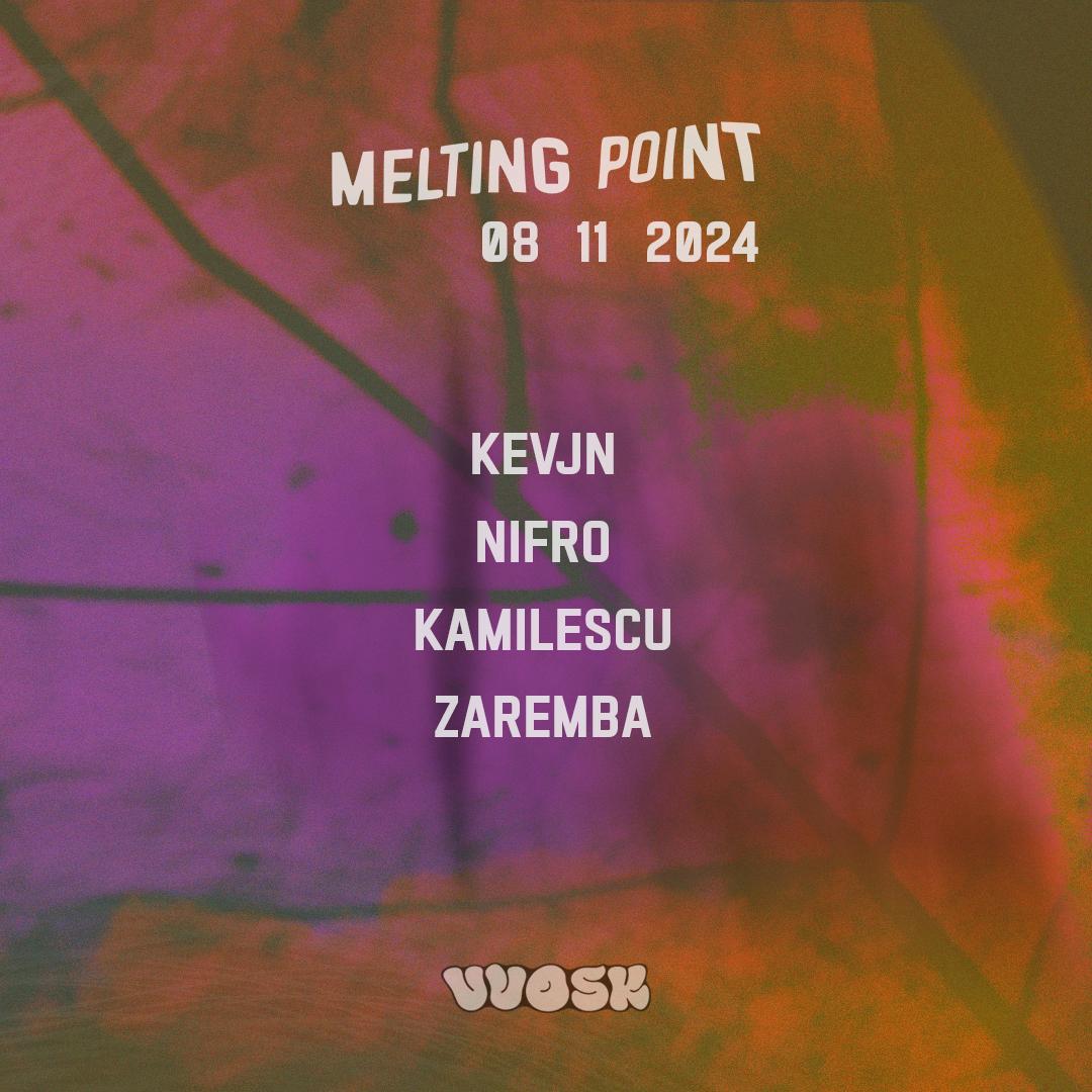 Melting Point X Vvosk Record Store