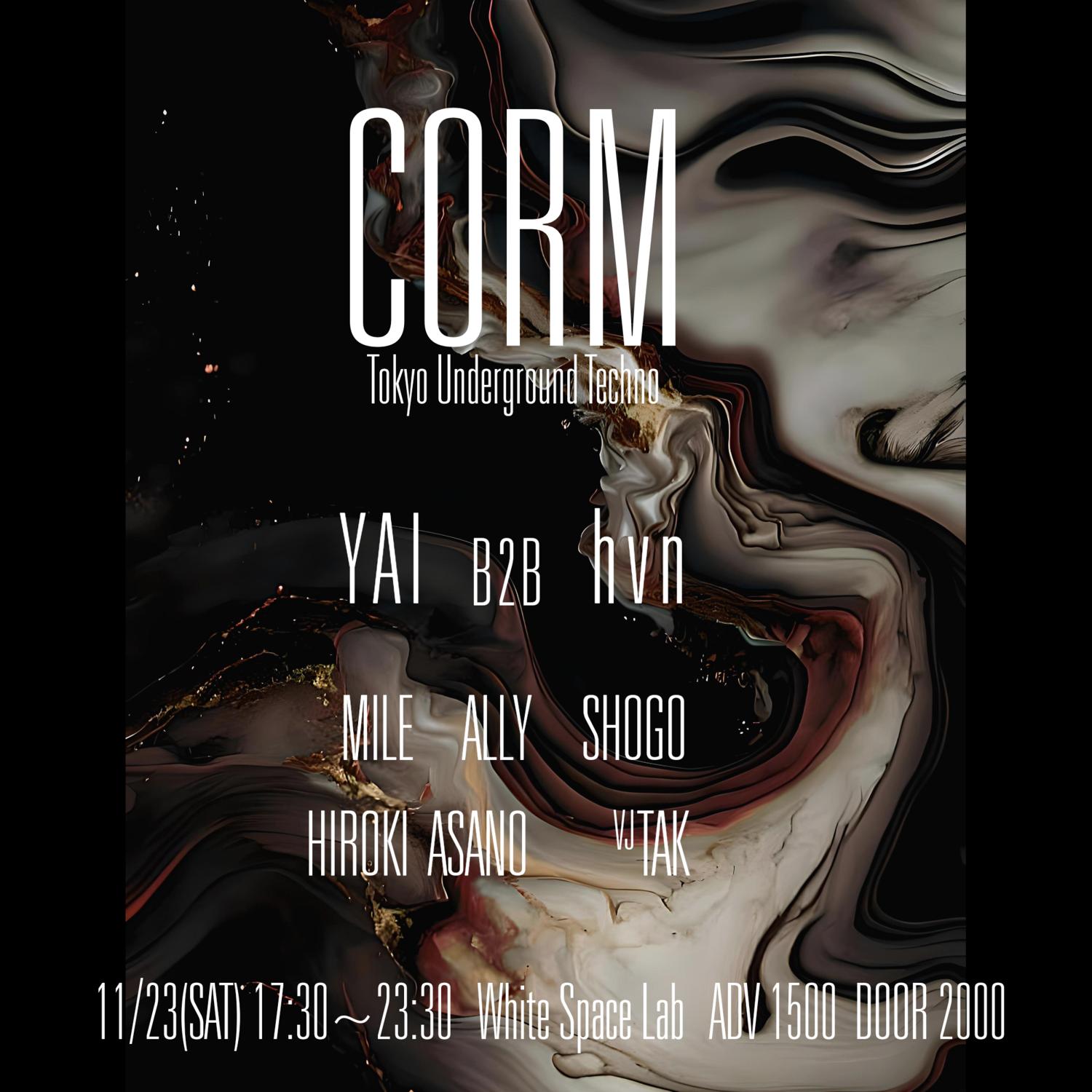 Corm