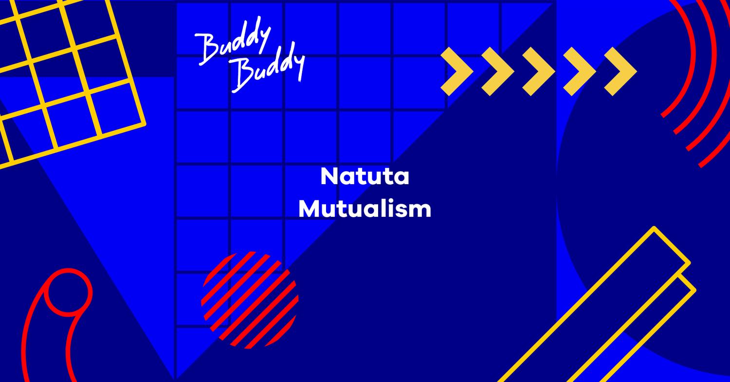 Buddy Buddy 6 Year Anniversary With Natuta And Mutualism