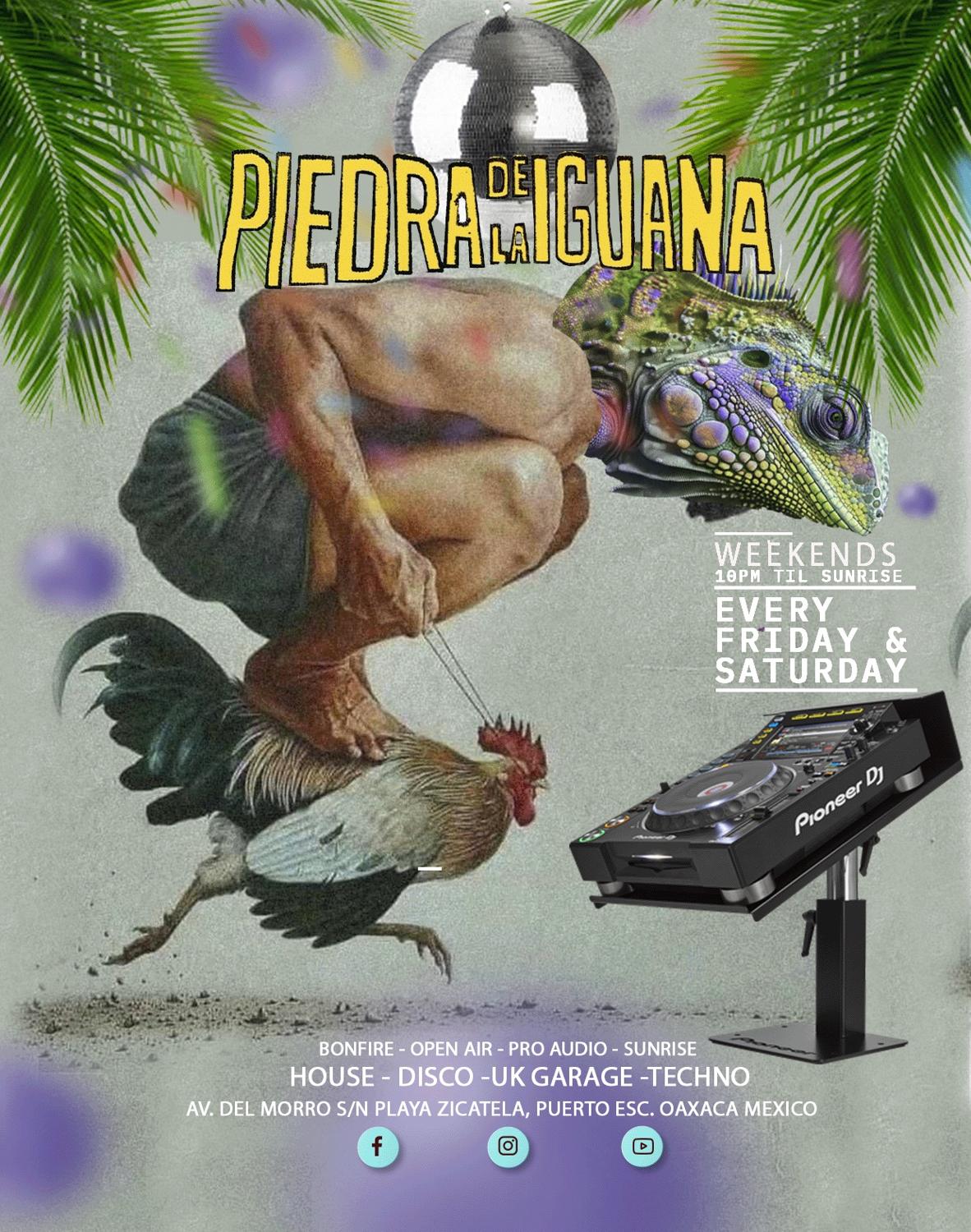 Iguana Weekends: Friday