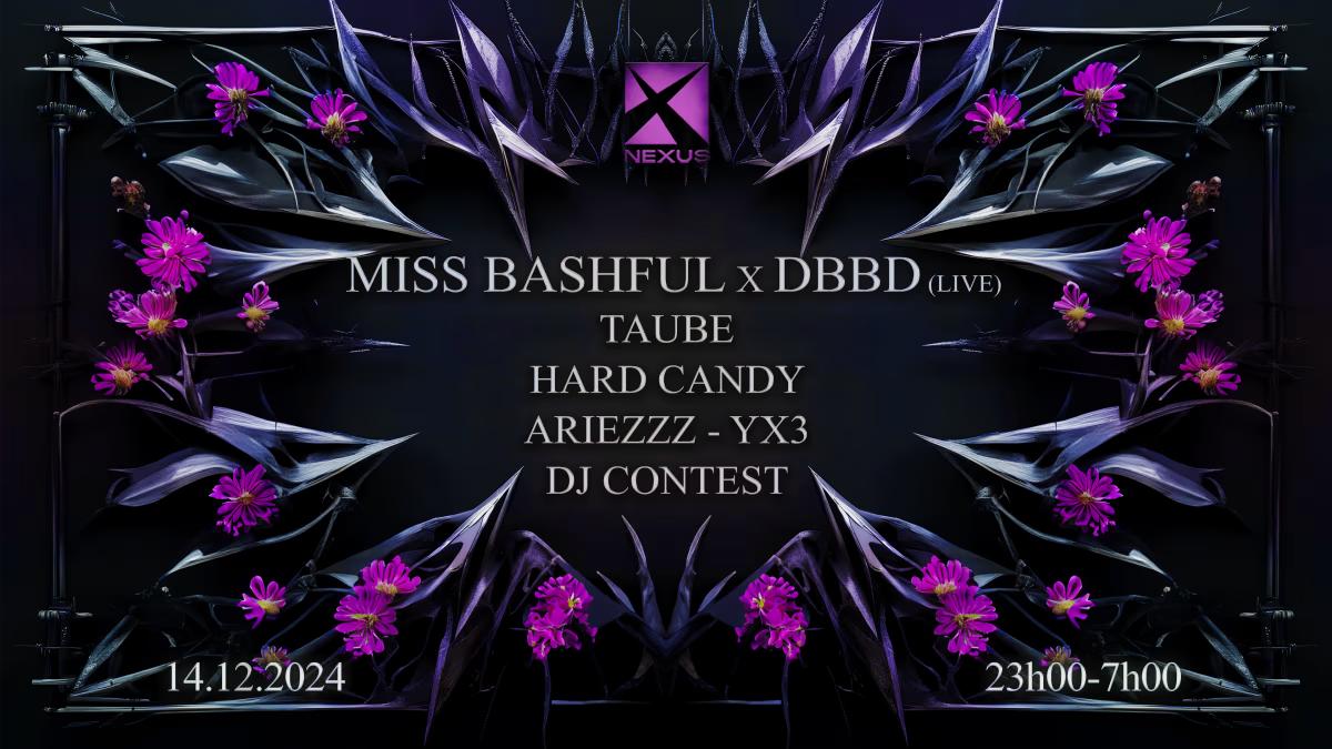 Nexus: Miss Bashful X Dbbd - Hard Candy - Taube & More