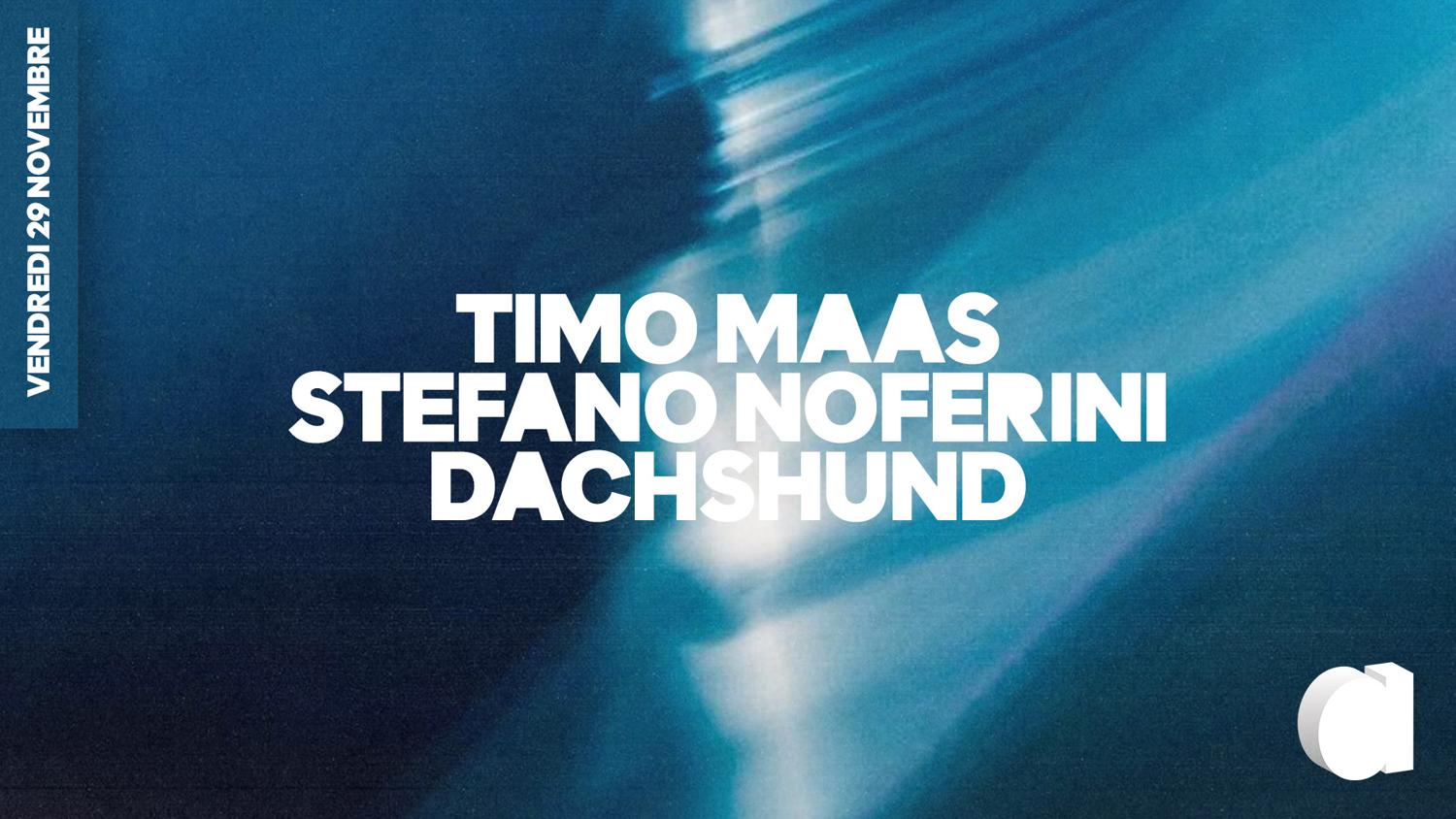 Timo Maas · Stefano Noferini · Dachshund