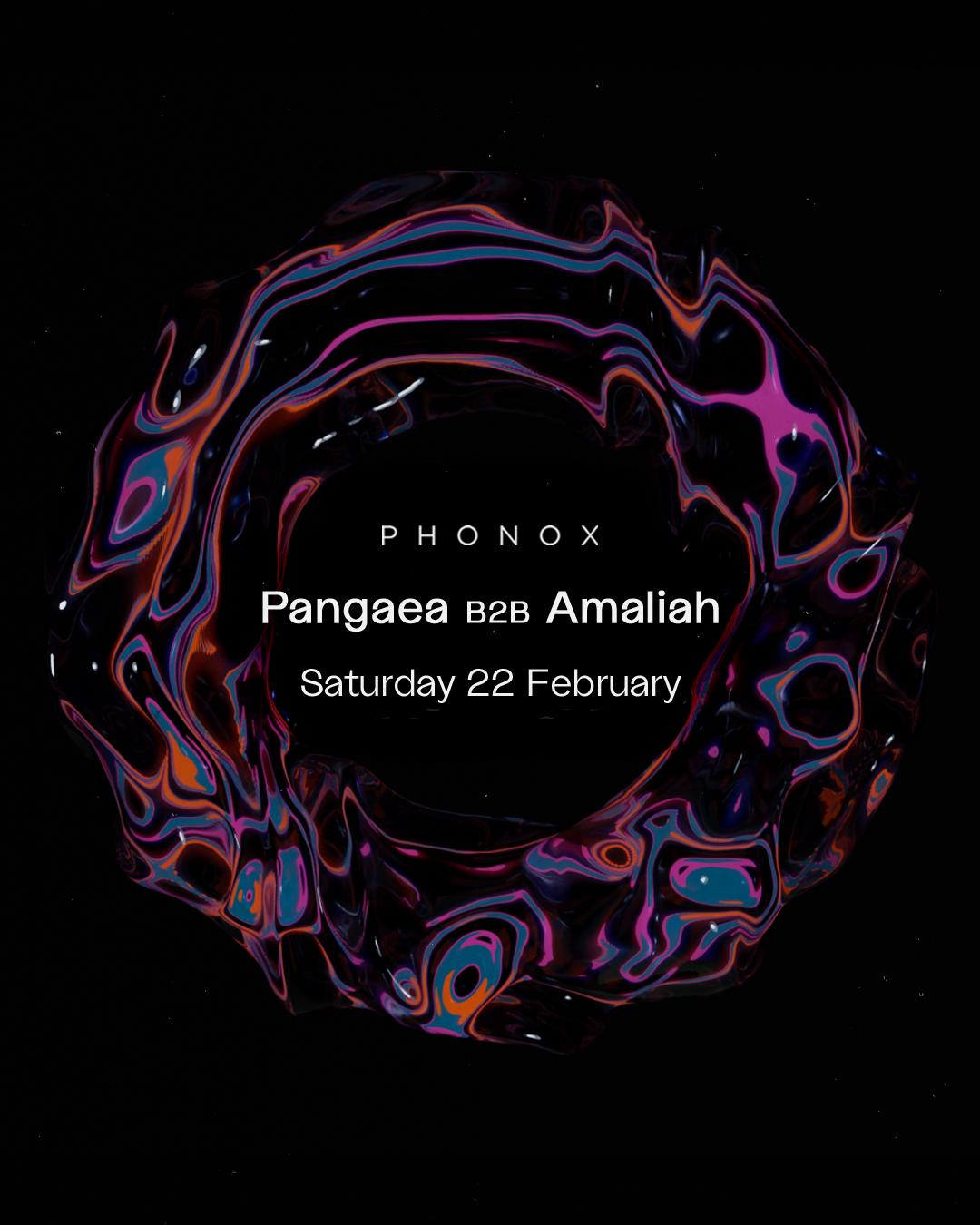 Phonox: Pangaea B2B Amaliah (All Night Long)