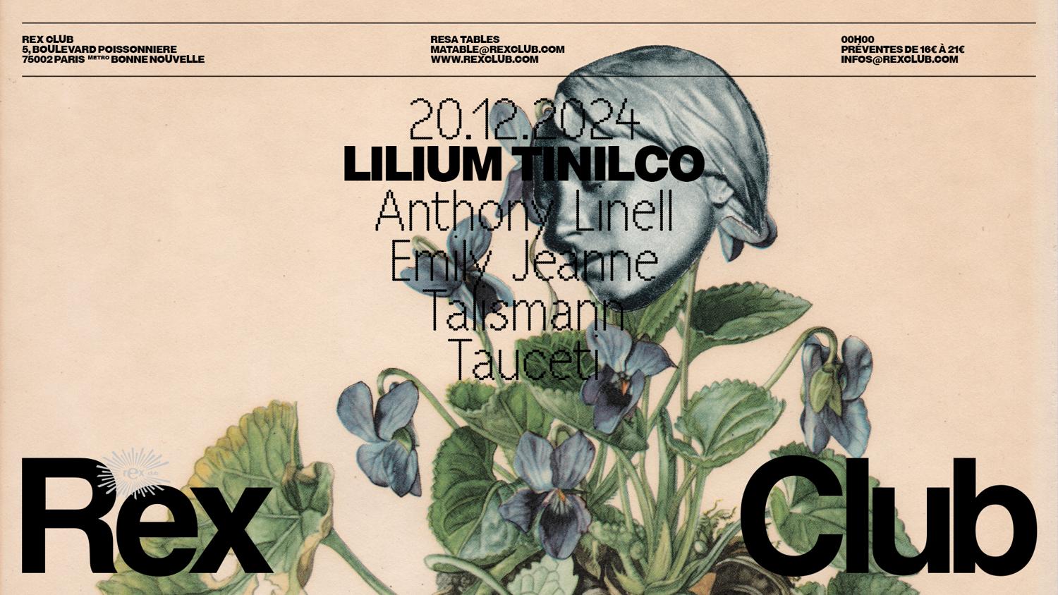 Lilium Tinilco: Anthony Linell, Emily Jeanne, Talismann, Tauceti