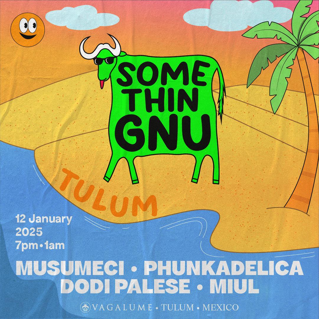 Somethingnu X Vagalume