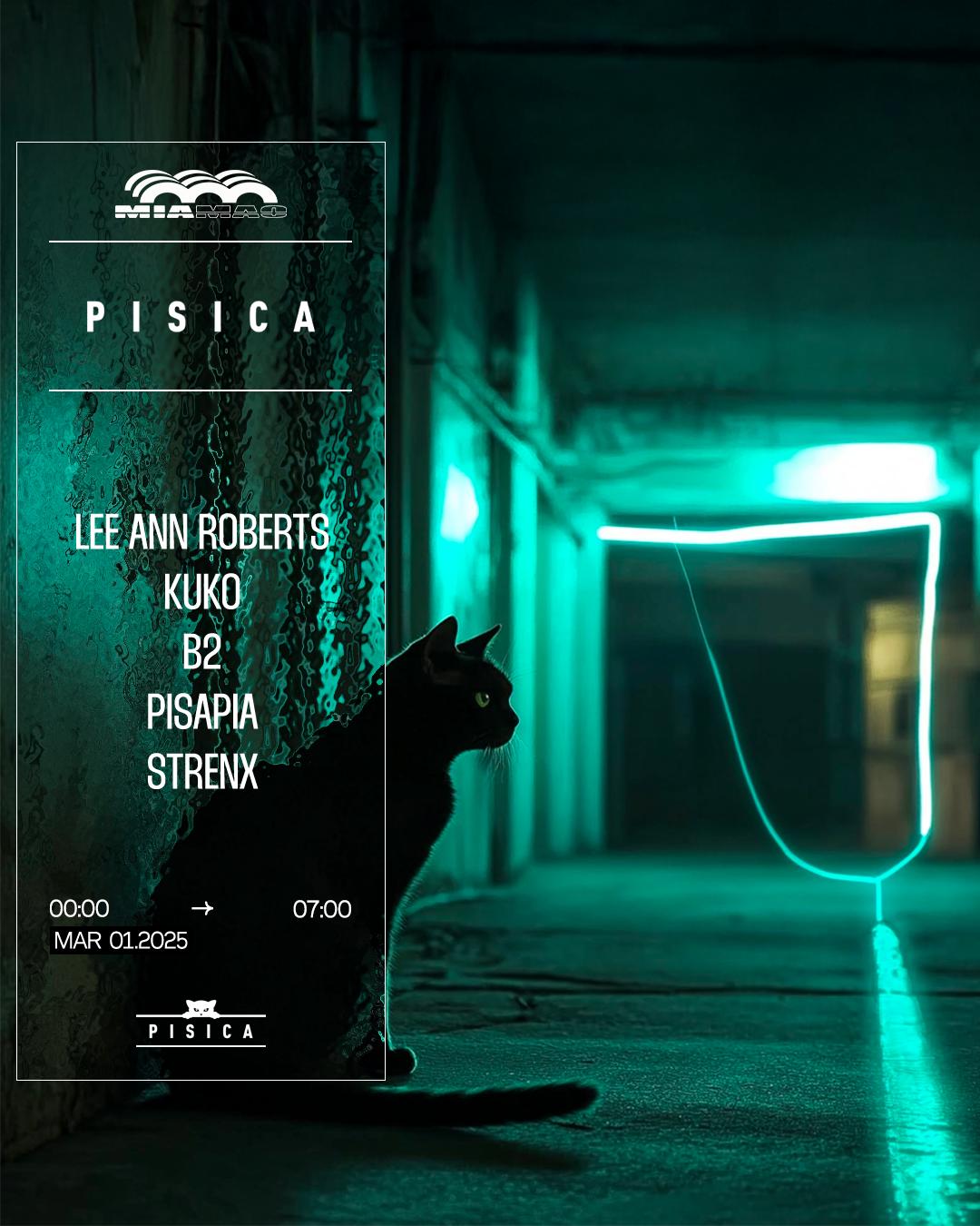 Pisica: Lee Ann Roberts, Kuko, B2, Pisapia, Strenx