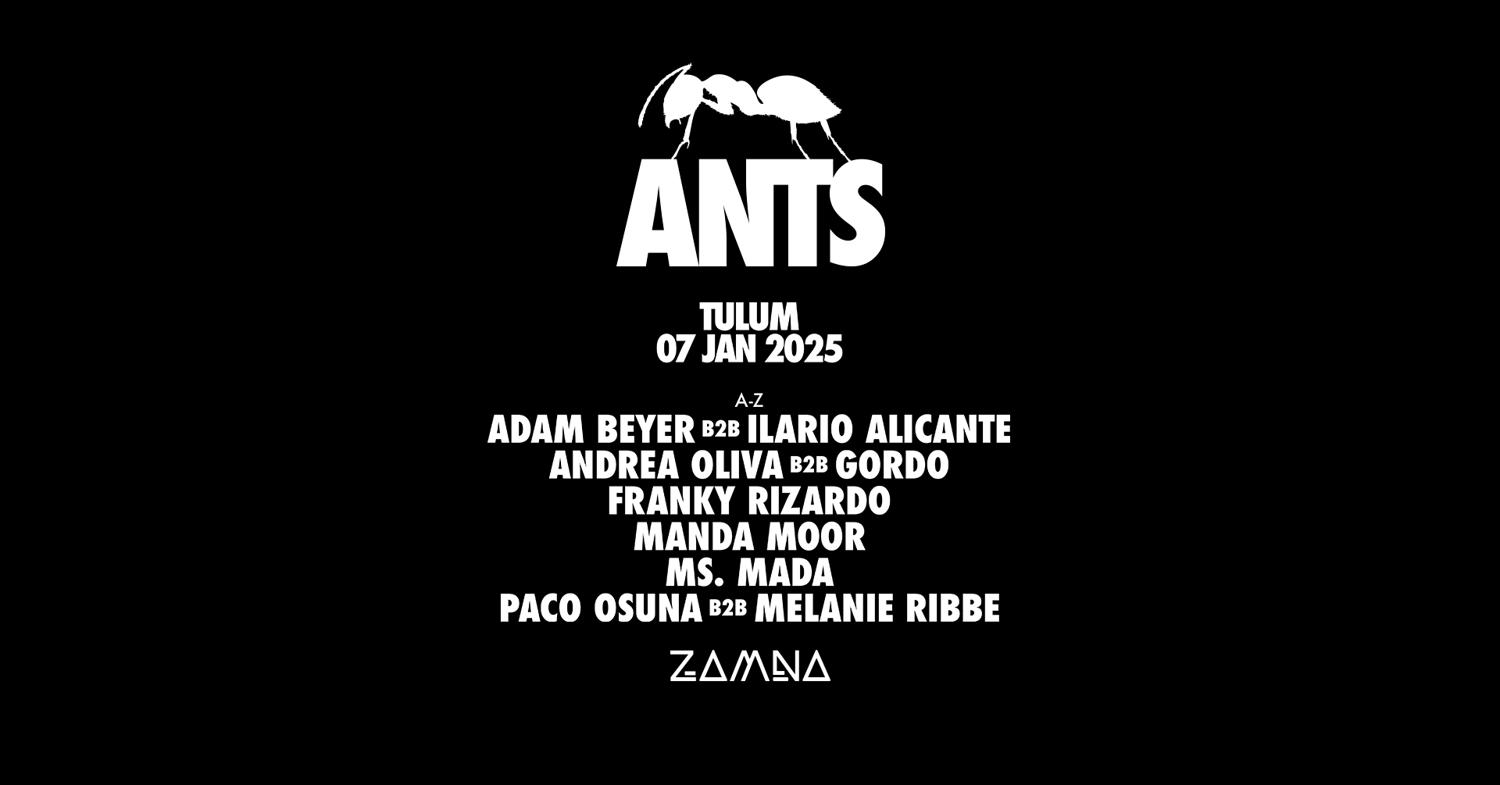 Ants Tulum