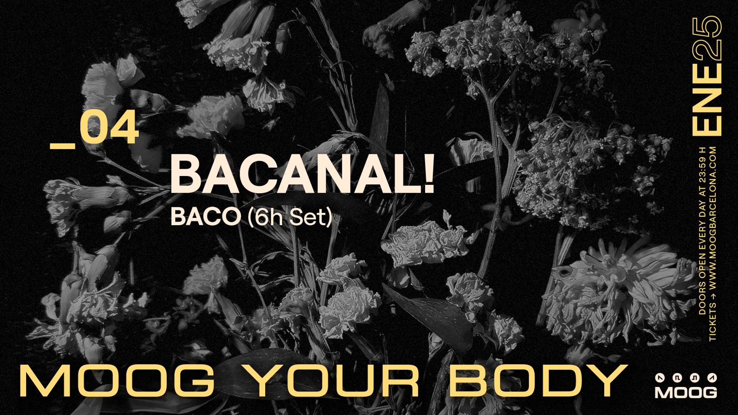 Bacanal! // Baco (All Night Long)