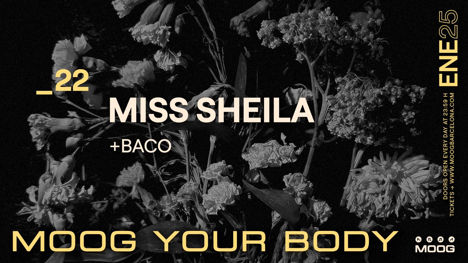 Miss Sheila + Baco