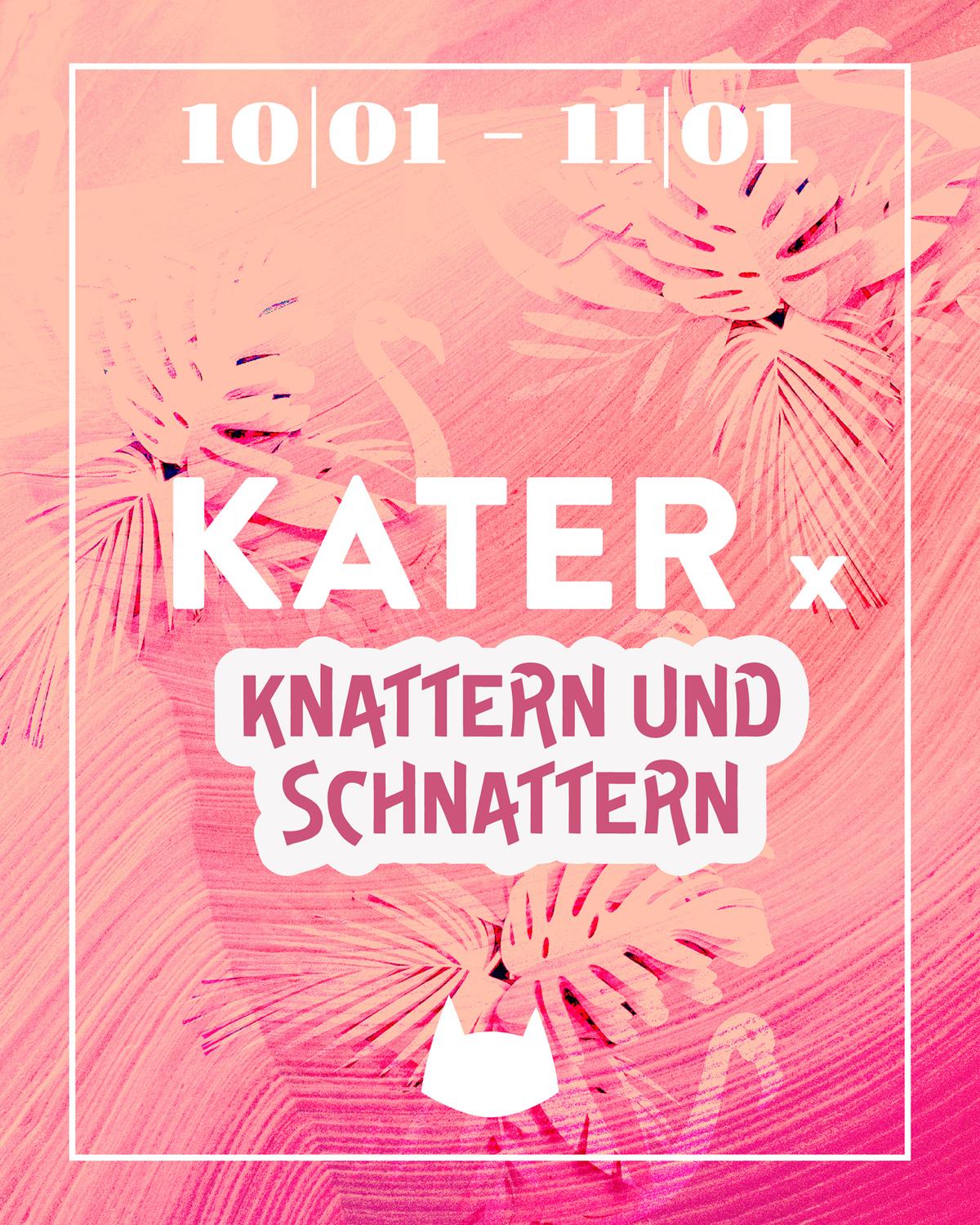 Kater X Knattern Und Schnattern