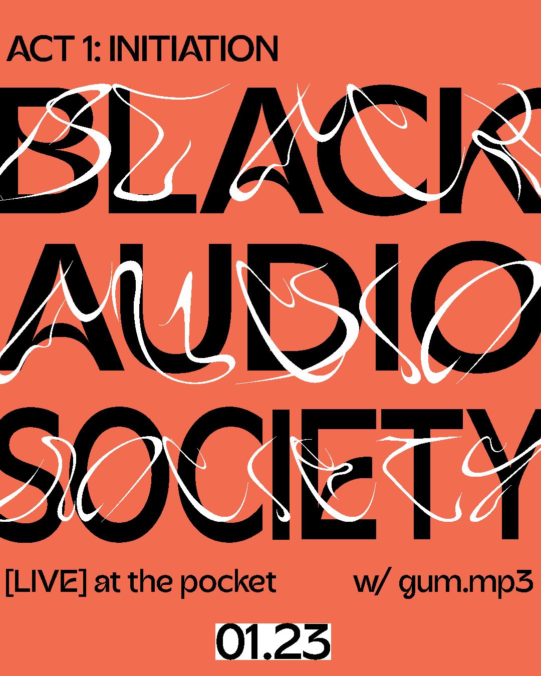 Black Audio Society [Live]