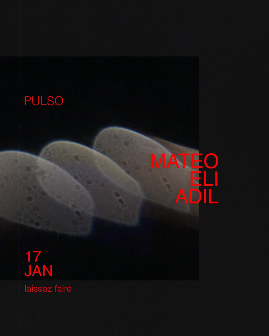 Pulso