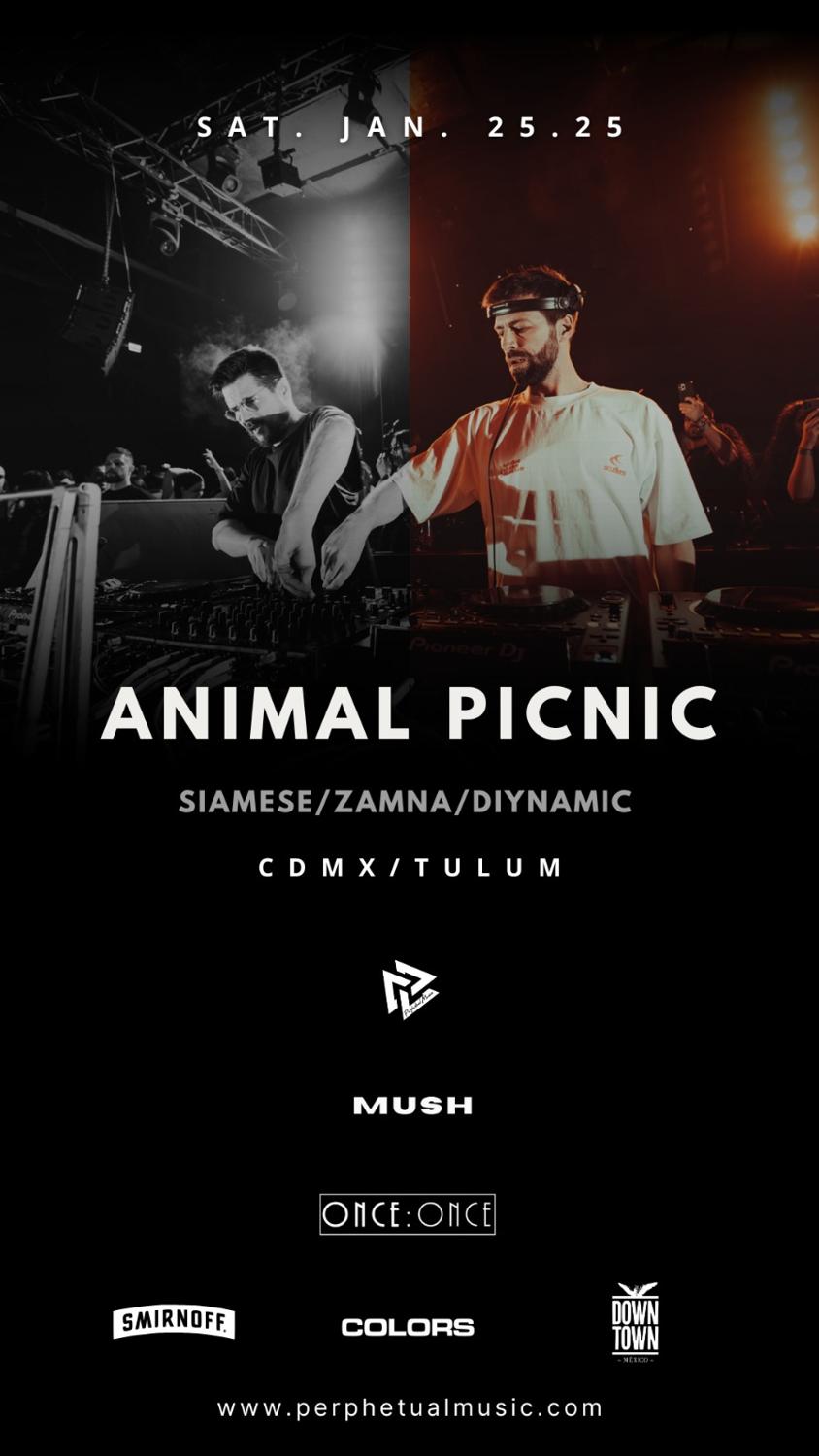 Animal Picnic Downtown Cdmx 